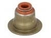 Valve Stem Seal:11 34 7 505 417